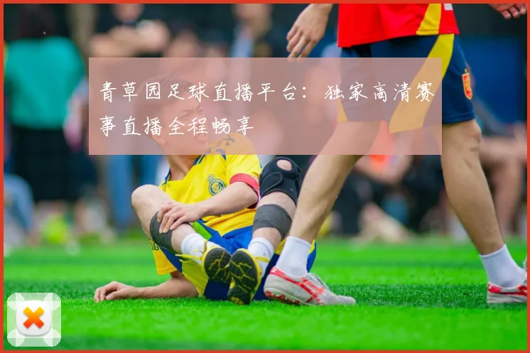 青草园足球直播平台：独家高清赛事直播全程畅享