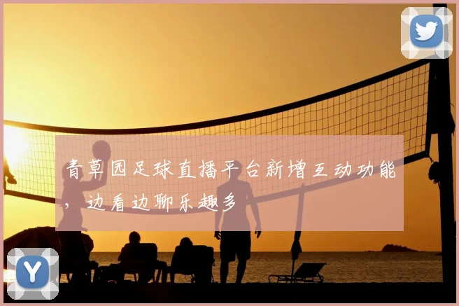 青草园足球直播平台新增互动功能，边看边聊乐趣多